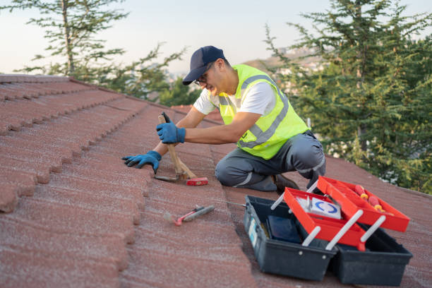 Best Roof Gutter Cleaning  in St Augusta, MN